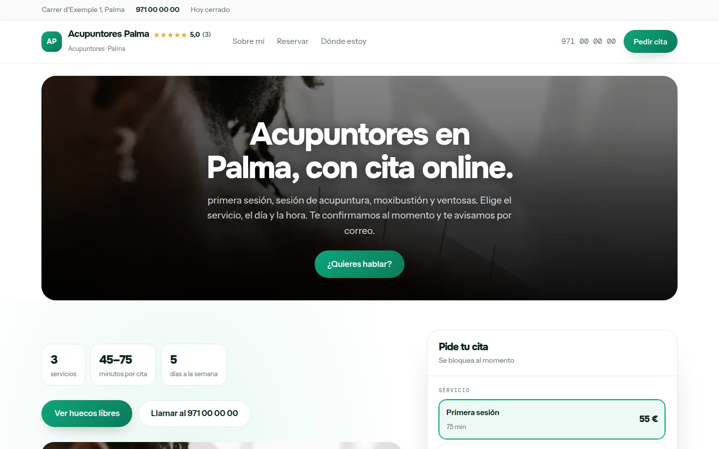 Web de ejemplo hecha con Toda Profesión para acupuntores