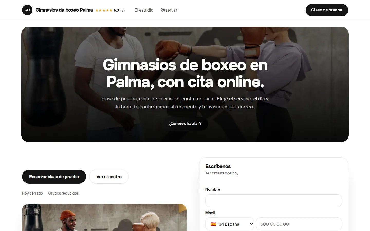 Web de ejemplo hecha con Toda Profesión para gimnasios de boxeo