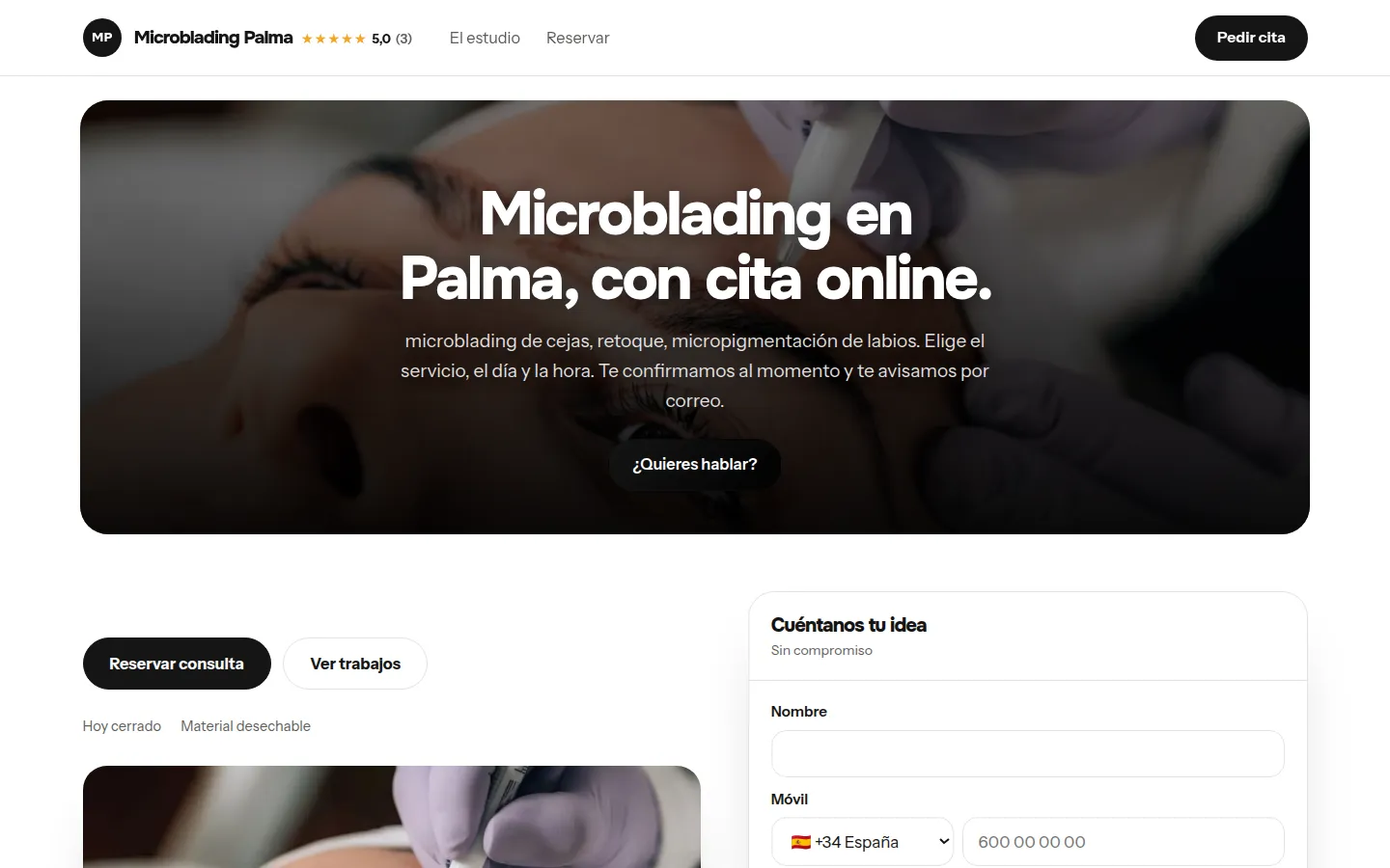 Web de ejemplo hecha con Toda Profesión para centros de microblading