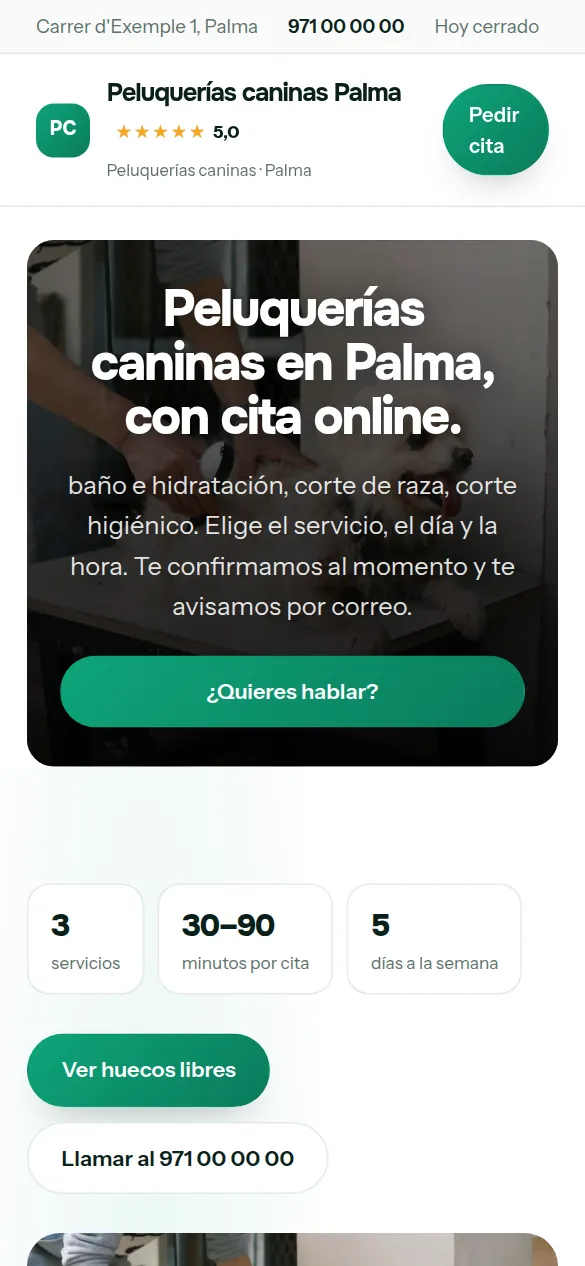La misma web de peluquerías caninas vista en el móvil
